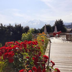 Chalet Les Rhodos